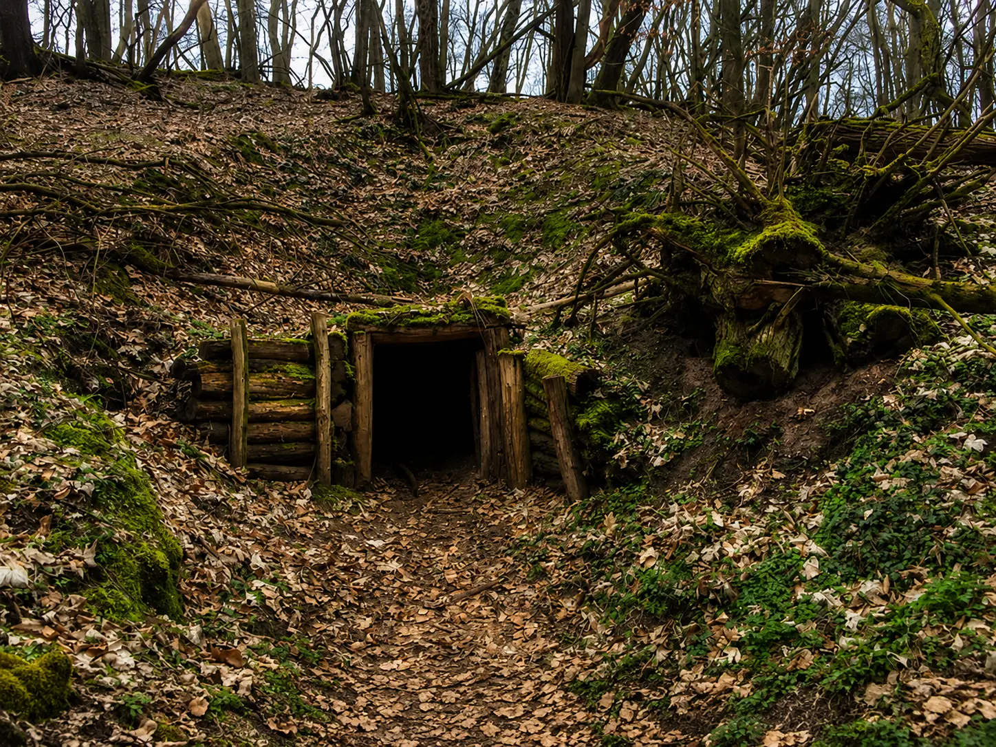 Seelow Heights Historical Route in Brandenburg